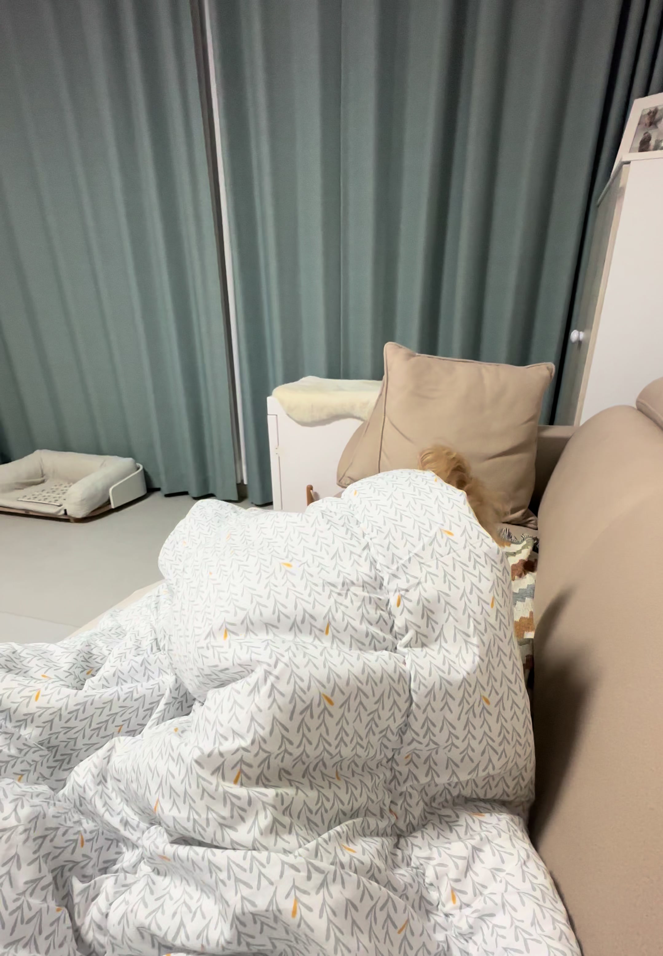 @꼬미