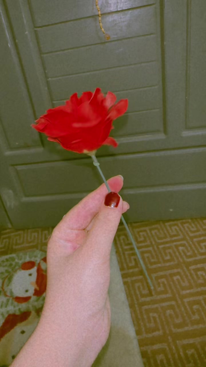 @ᴍɪꜱʜᴇ ᴛᴀɪʙ ᥫ᭡