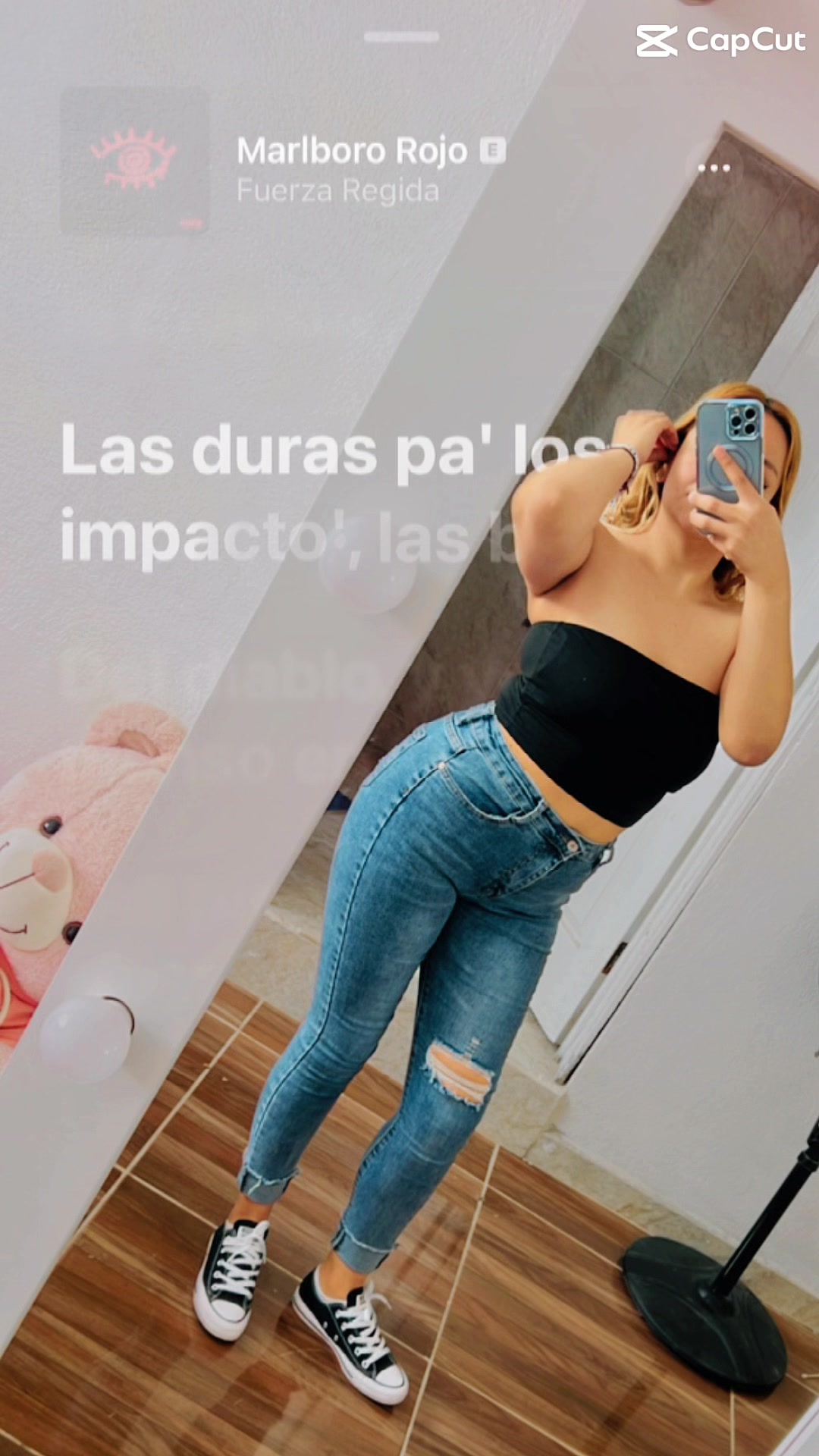 @Alejandra Rocha