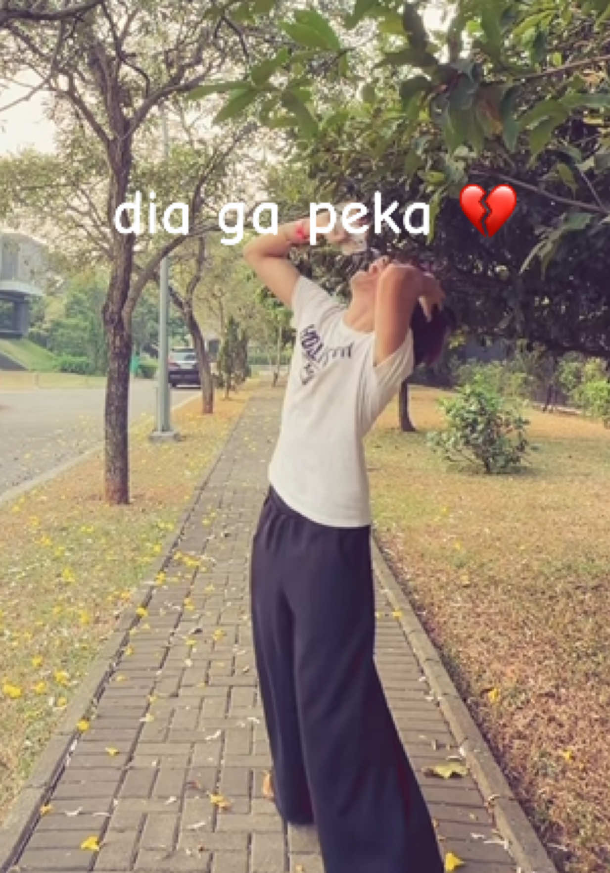 @diakerenbanget
