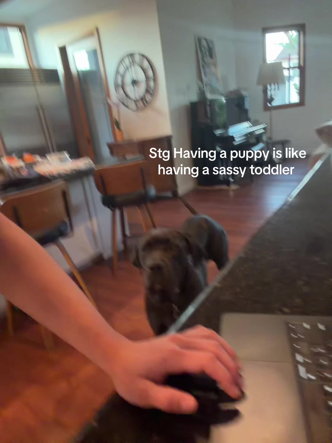 @caffeinheadache