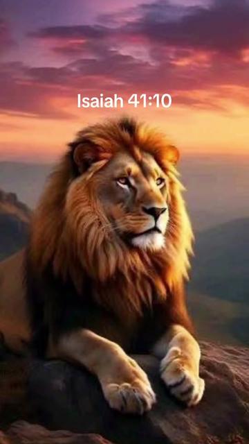 @🐅❤️💚-SrPastorT-CEO 💚❤️🐅