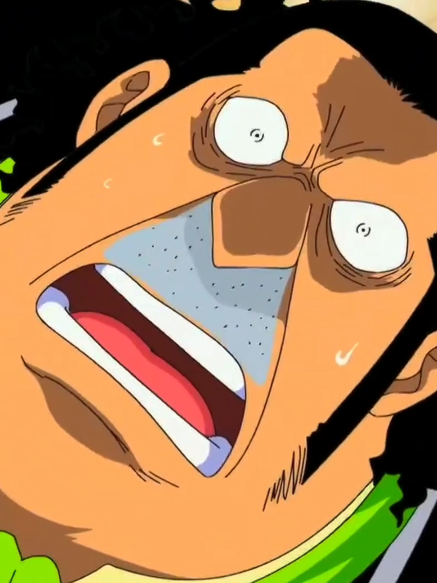 @One Piece ☠️