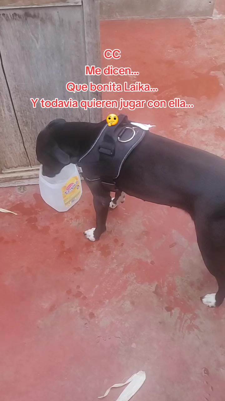 @Jos&eacute; D. Aro