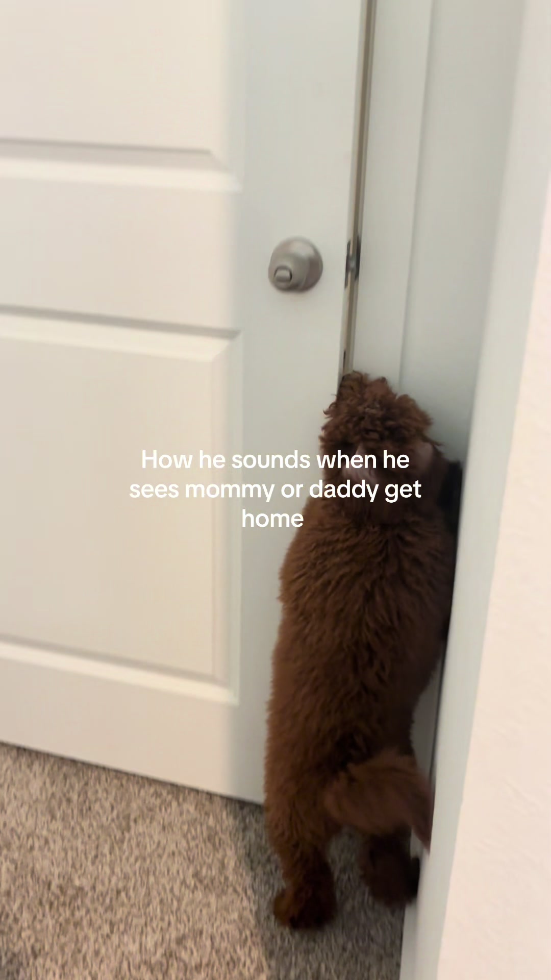 @Mjmj2