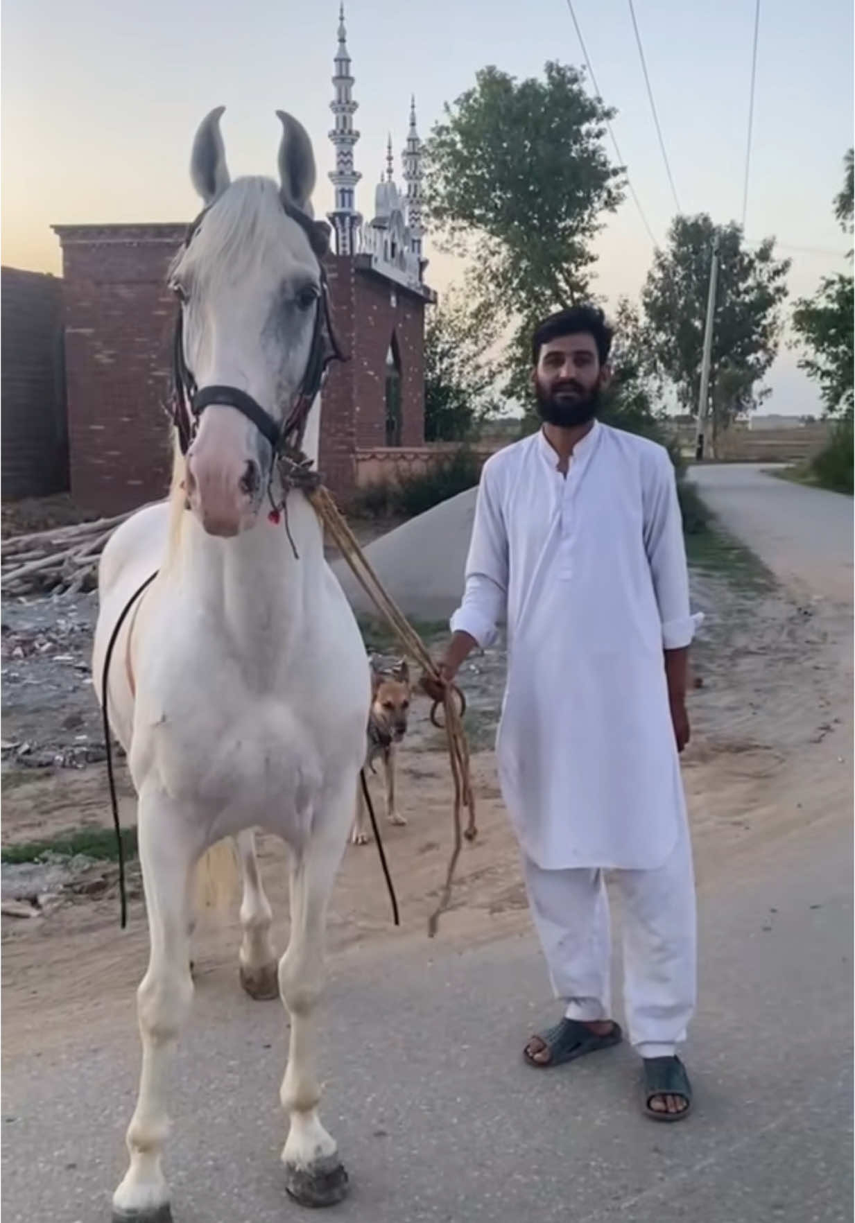 @Auzar Atta