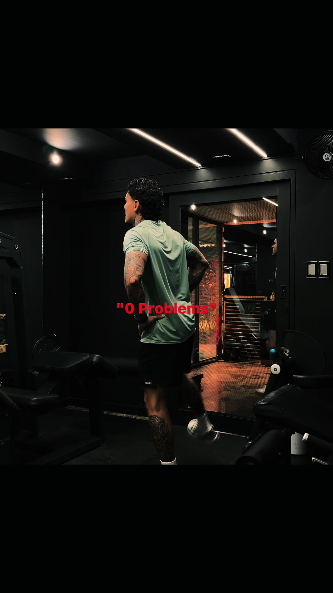 @Dani Machado 🦉