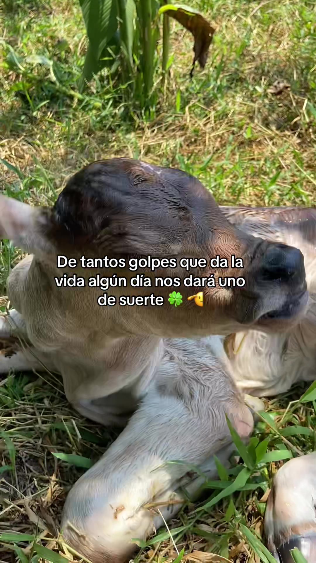 @❣️Reitos💋🧸