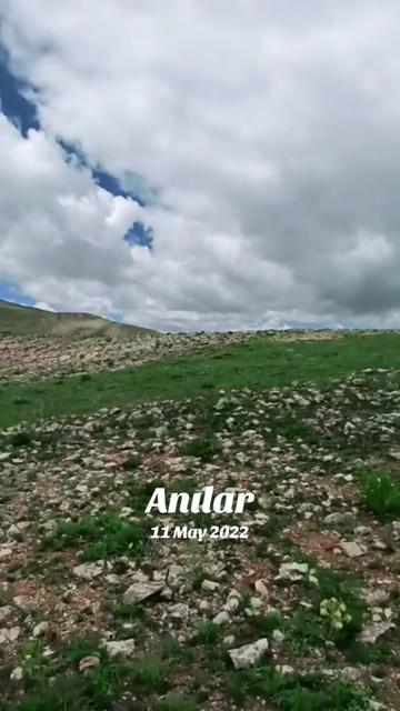 @abdulkadirgulerbjk