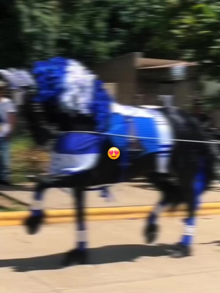 @ganadería🐮 y caballo🐴☠️