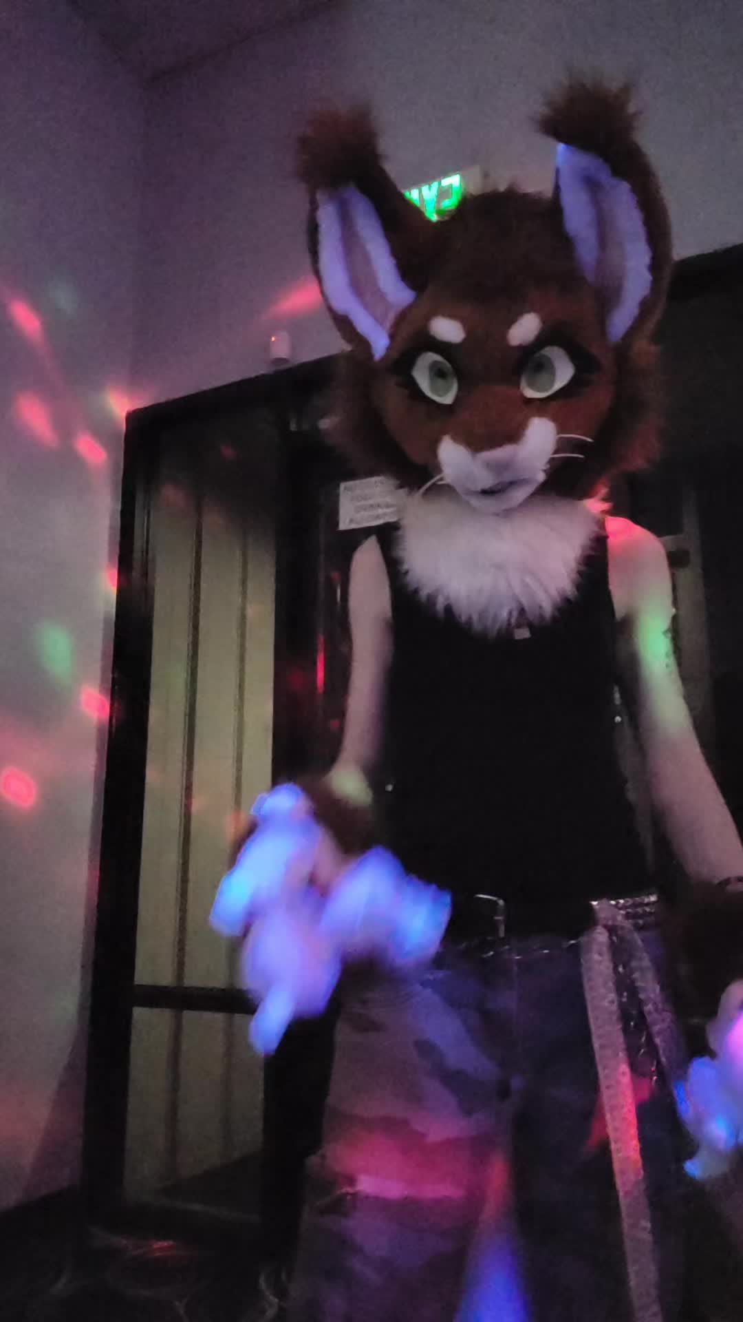 @★FrenziFox★ 🔜 Denfur '26