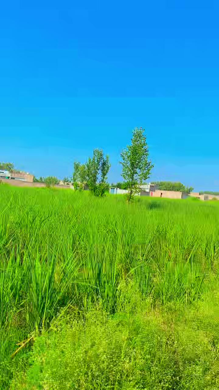 @亗๛KHÅÑ亗93