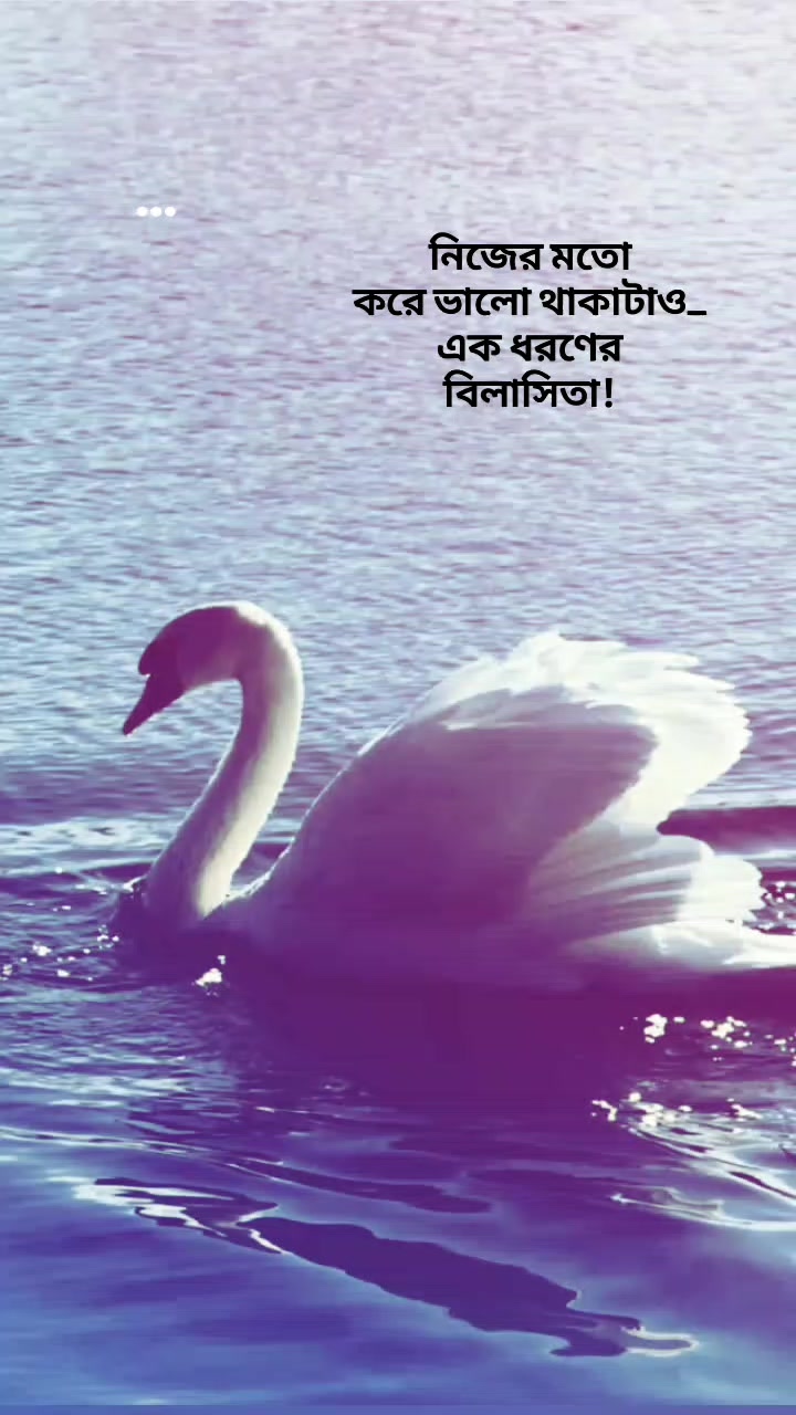 @Tamuuđ