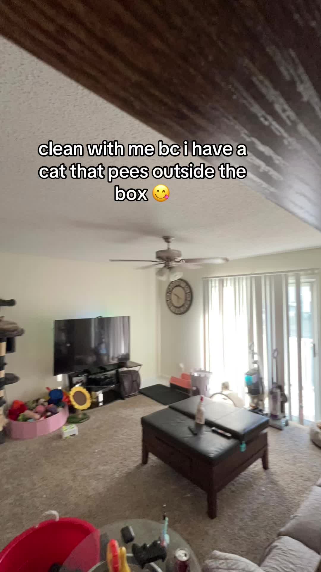 @lora’s lil crew 🐈⬛🫶🏼