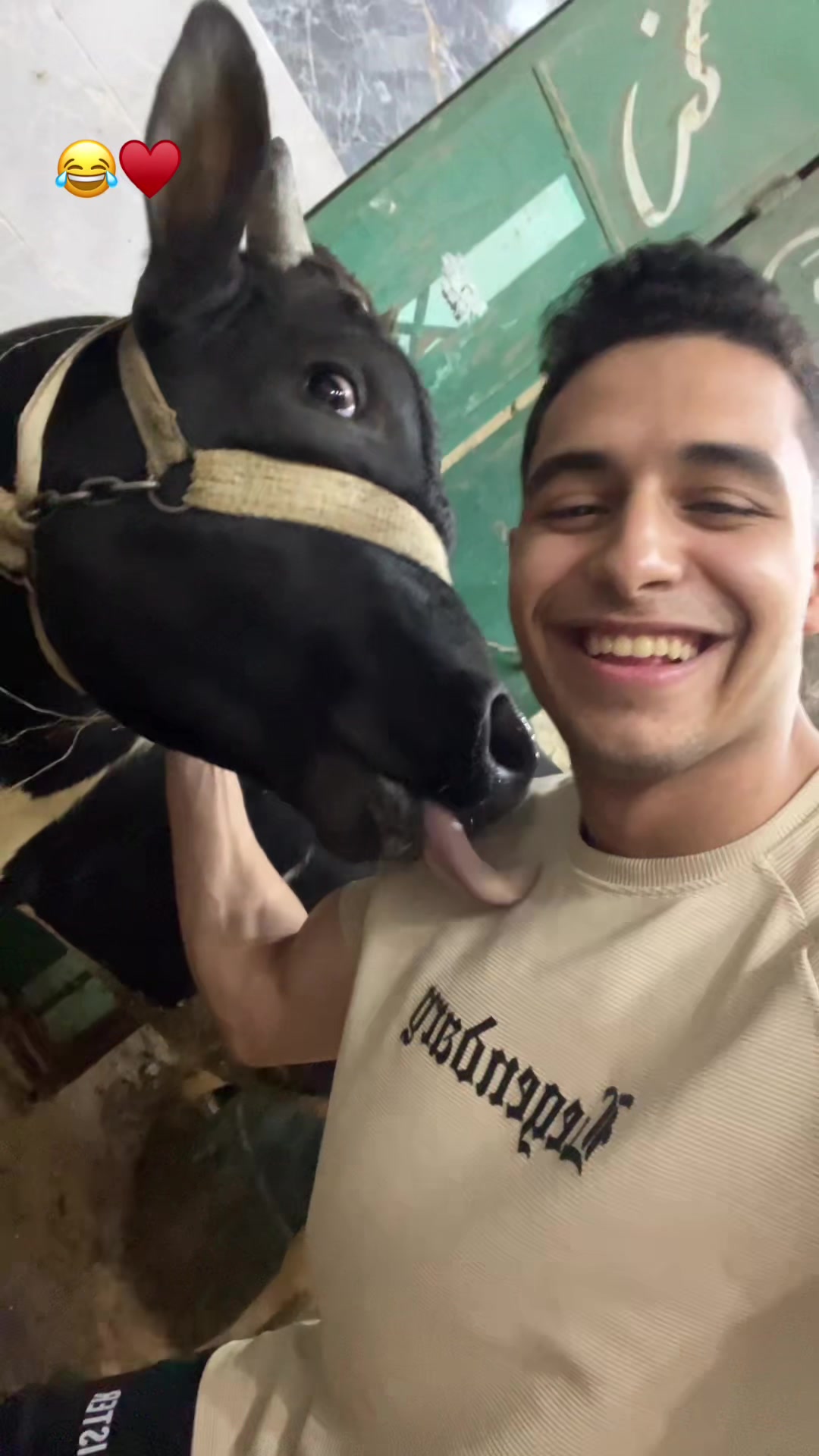 @M7MED🤴🏻