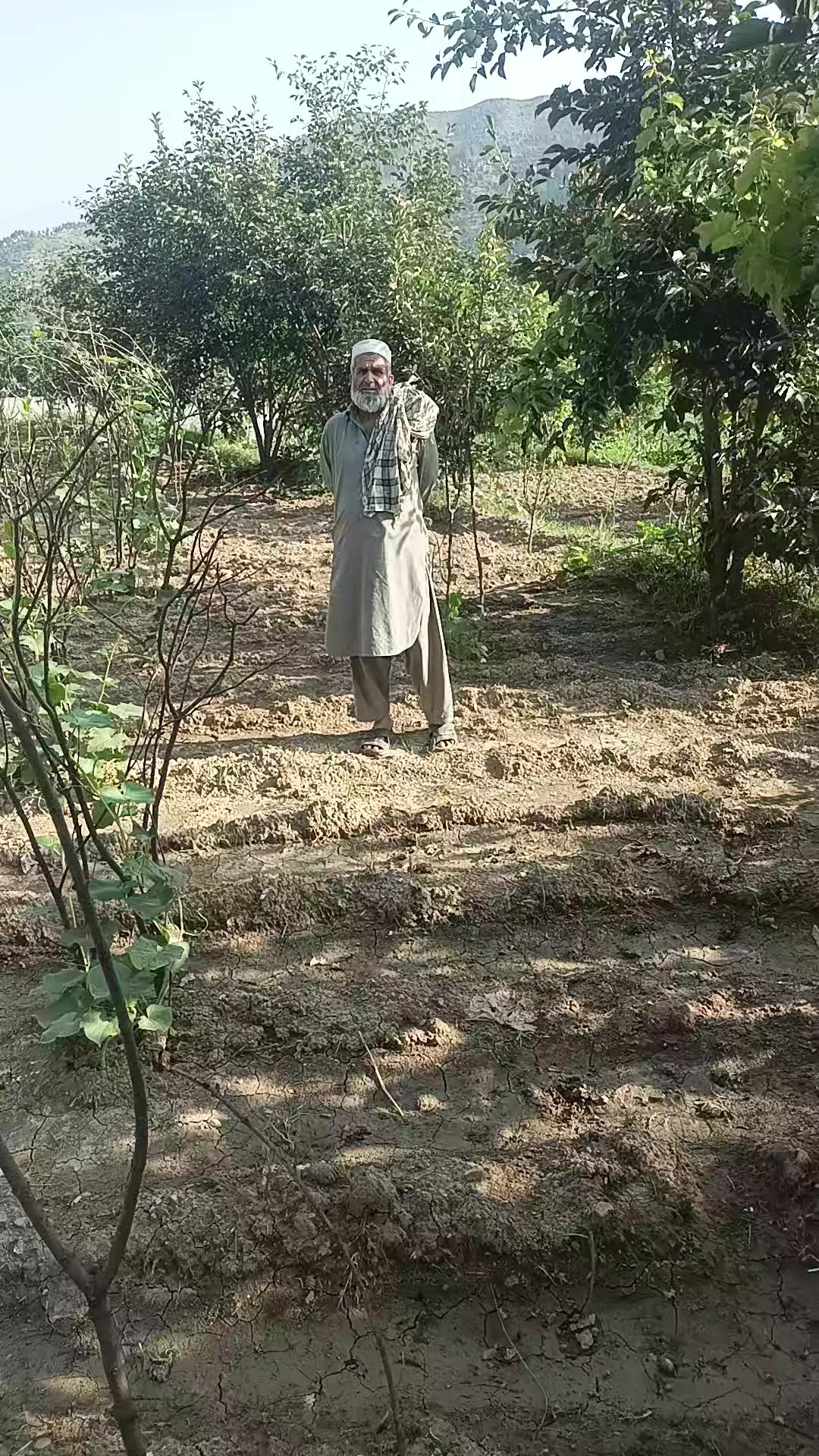 @asilzada