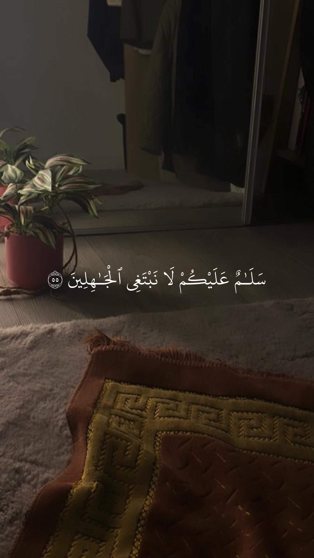 @Quan|قران كريم