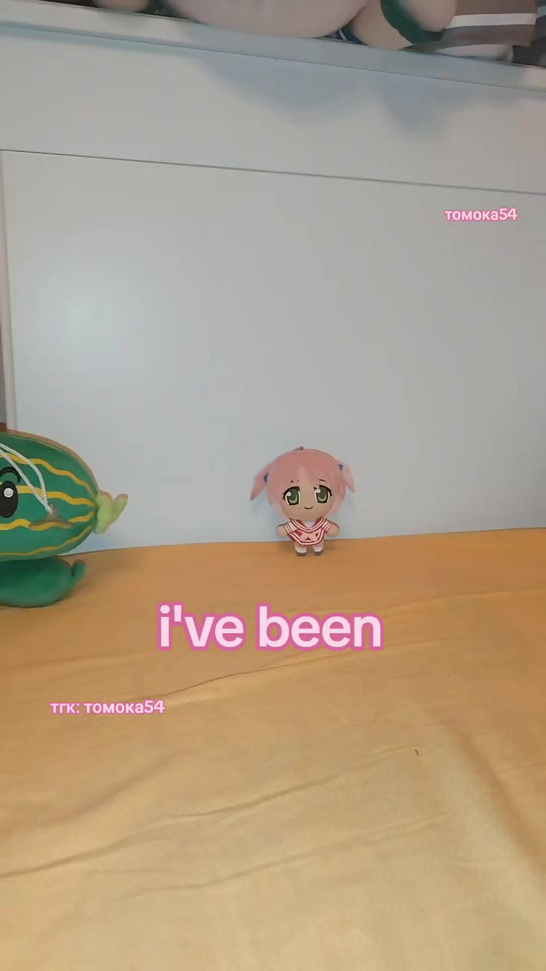 @tomoka54