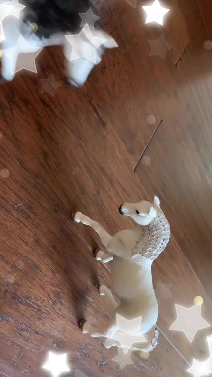 @❤Schleich🧡Today💛