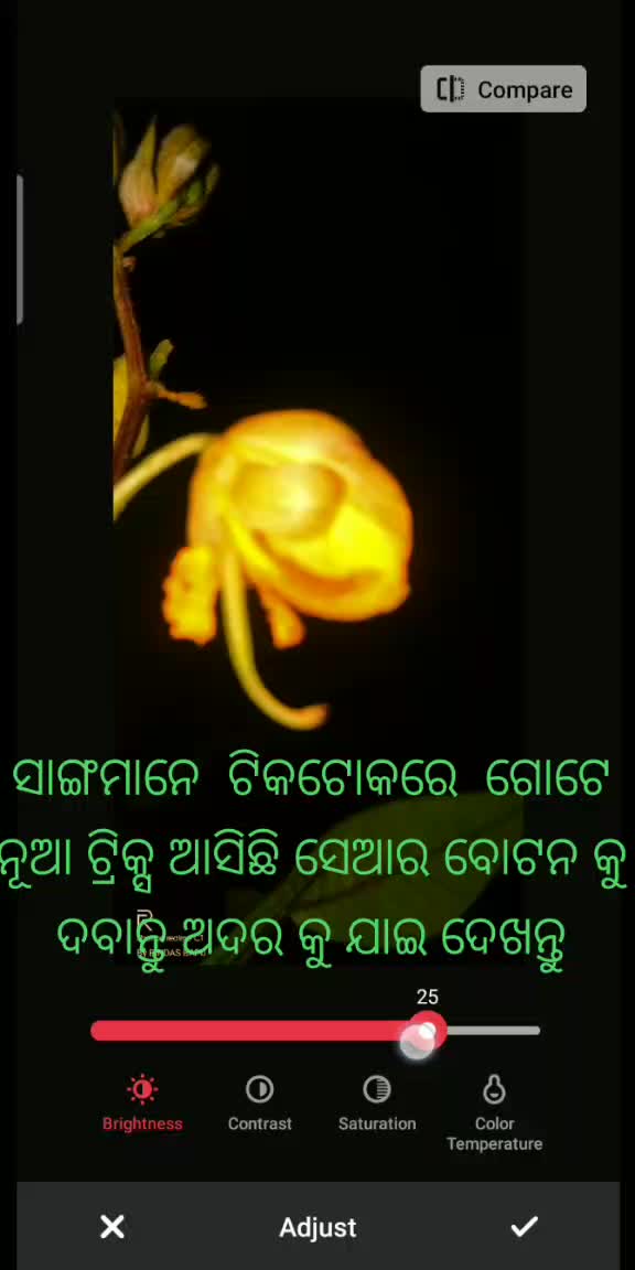 @Papun Mohanta