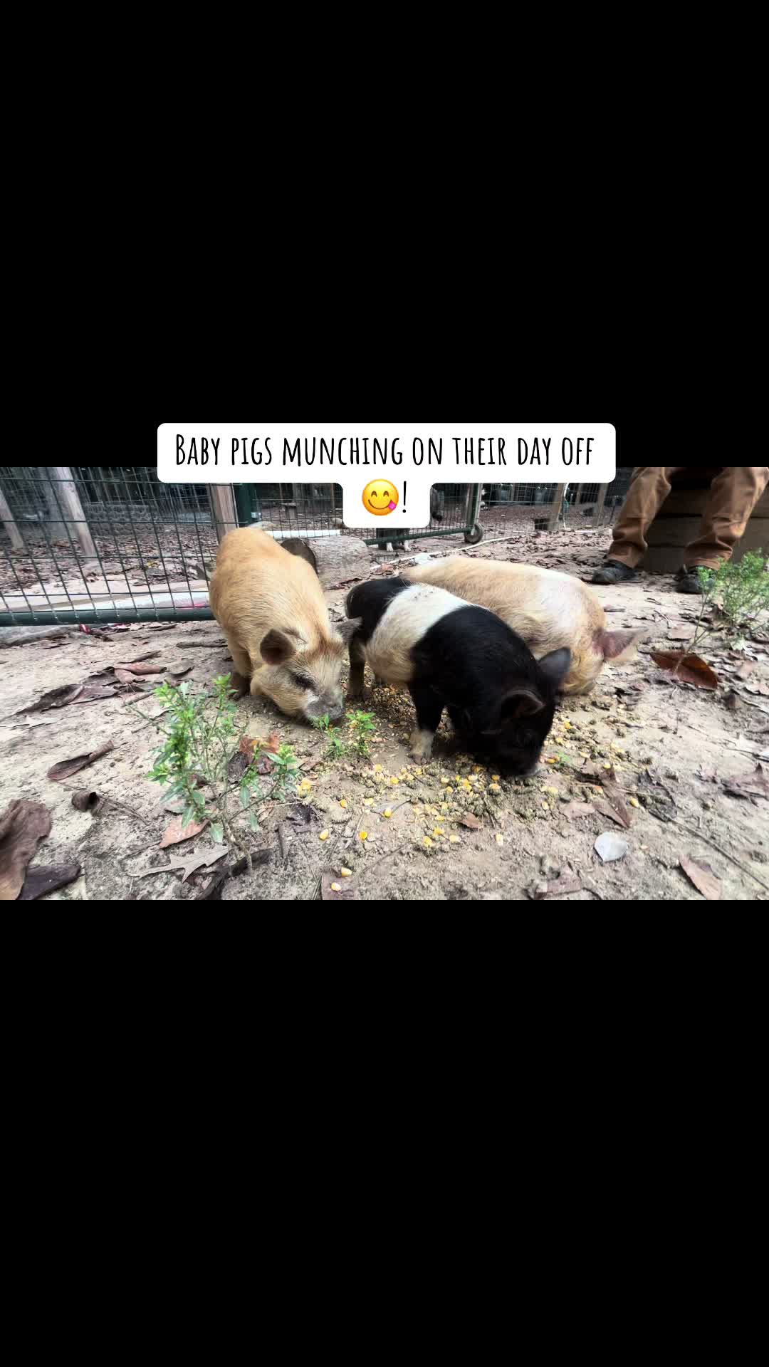 @Ginger Leigh 🌻