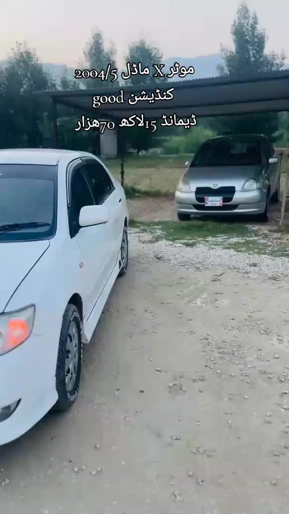 @ncpcarlover1