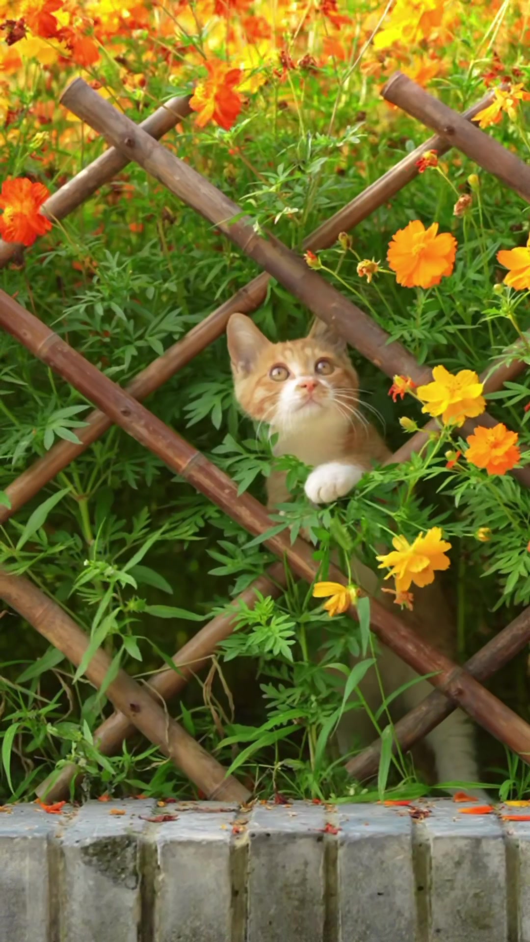 @My Daily Dose of Aww