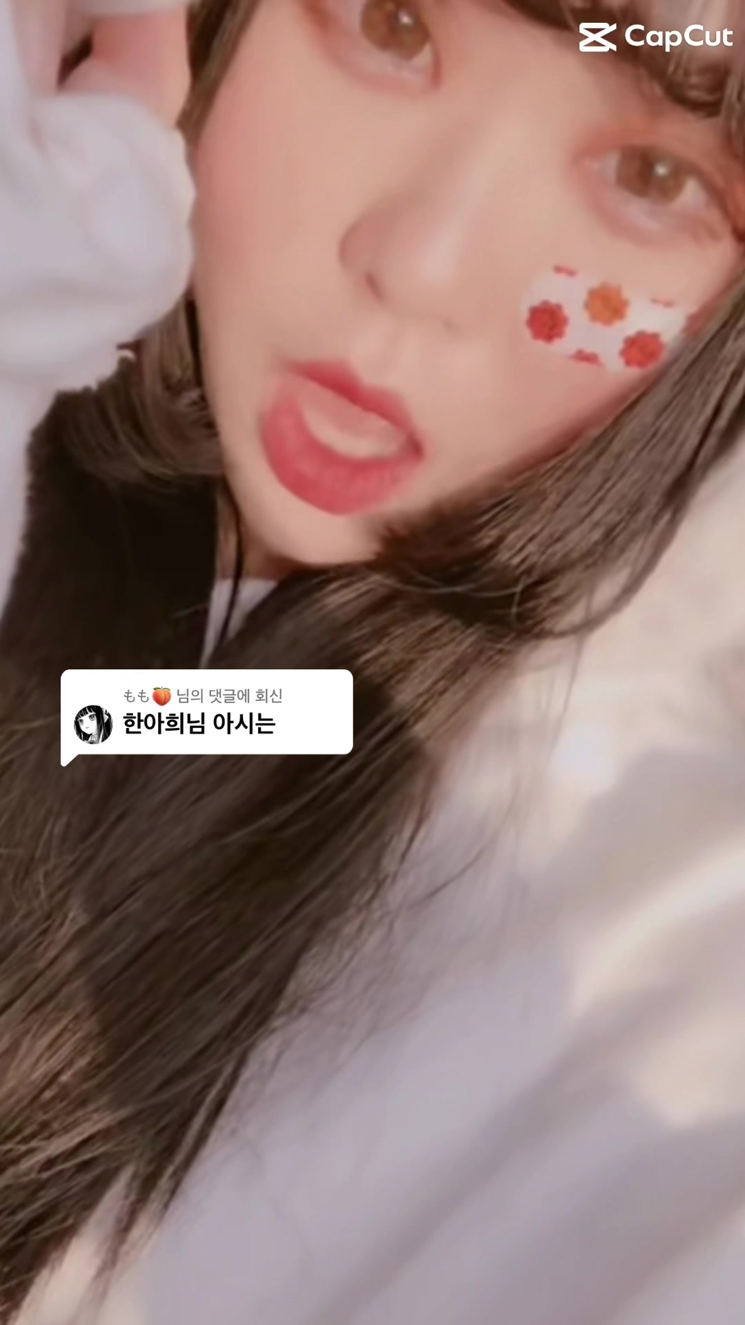 @틱톡커 근황 찾아줌