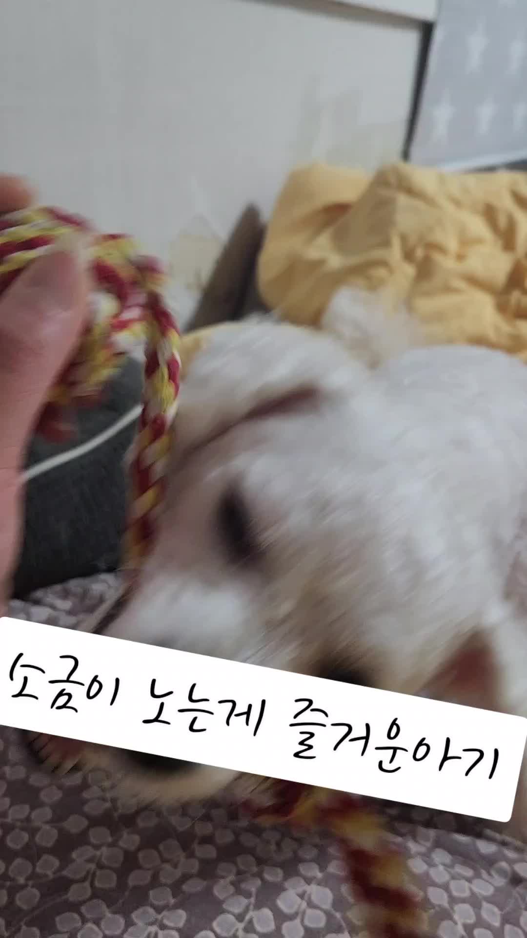 @특별한그녀♡