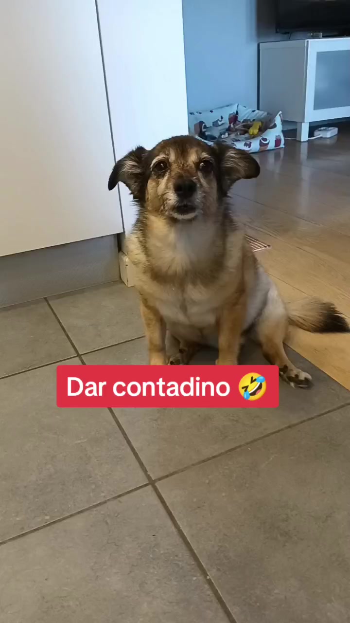 @briciola221dina24