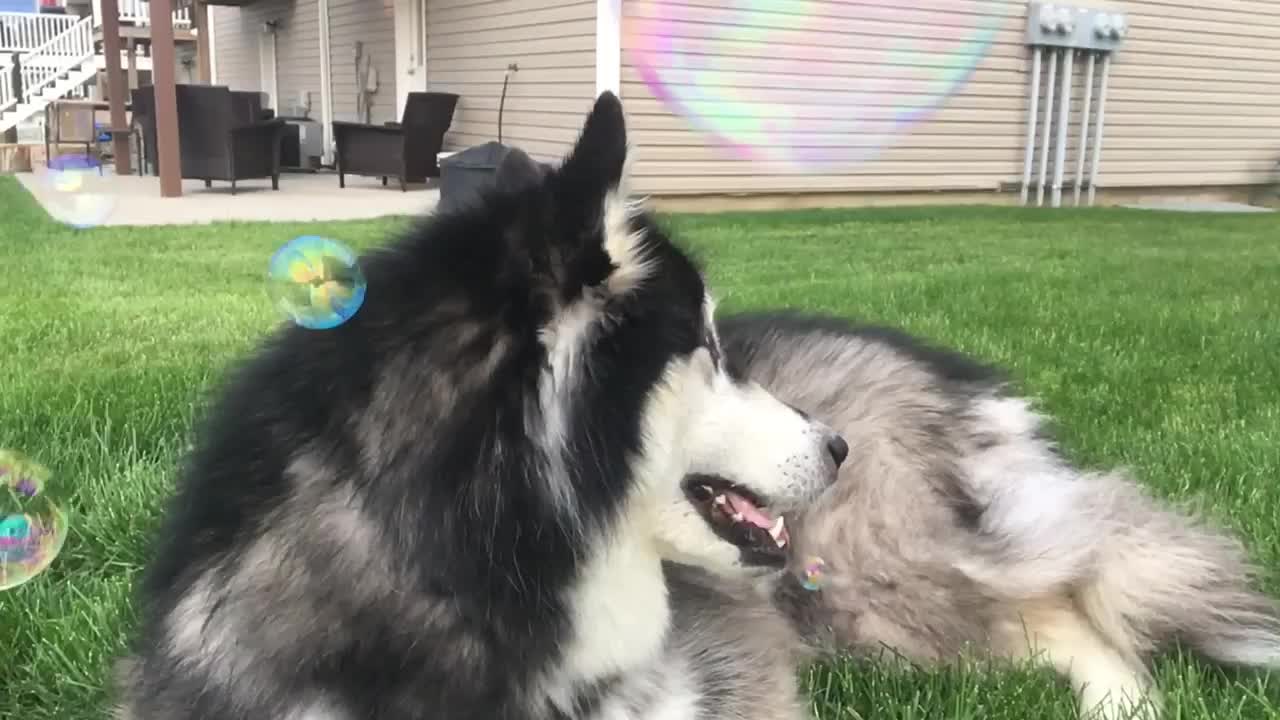 @a e s t h e t i c s
