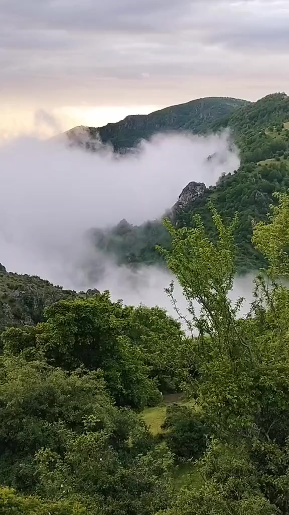 @ᐯᑌՏᗩᒪ🇦🇿ᕼᑌՏᗴYIᑎOᐯ