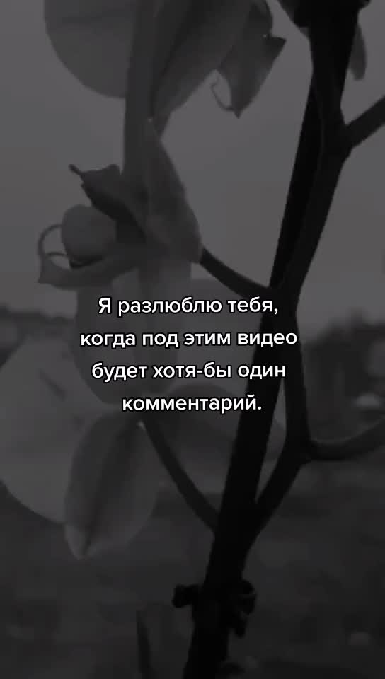 @🧚♀️Aesthetic videos🧚♀