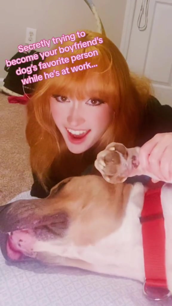 @PuffinCore