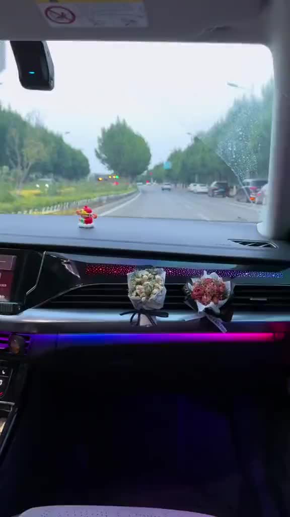 @Saniya Sheikh