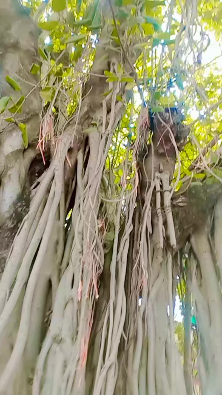 @rohan❤❤thakur 5287