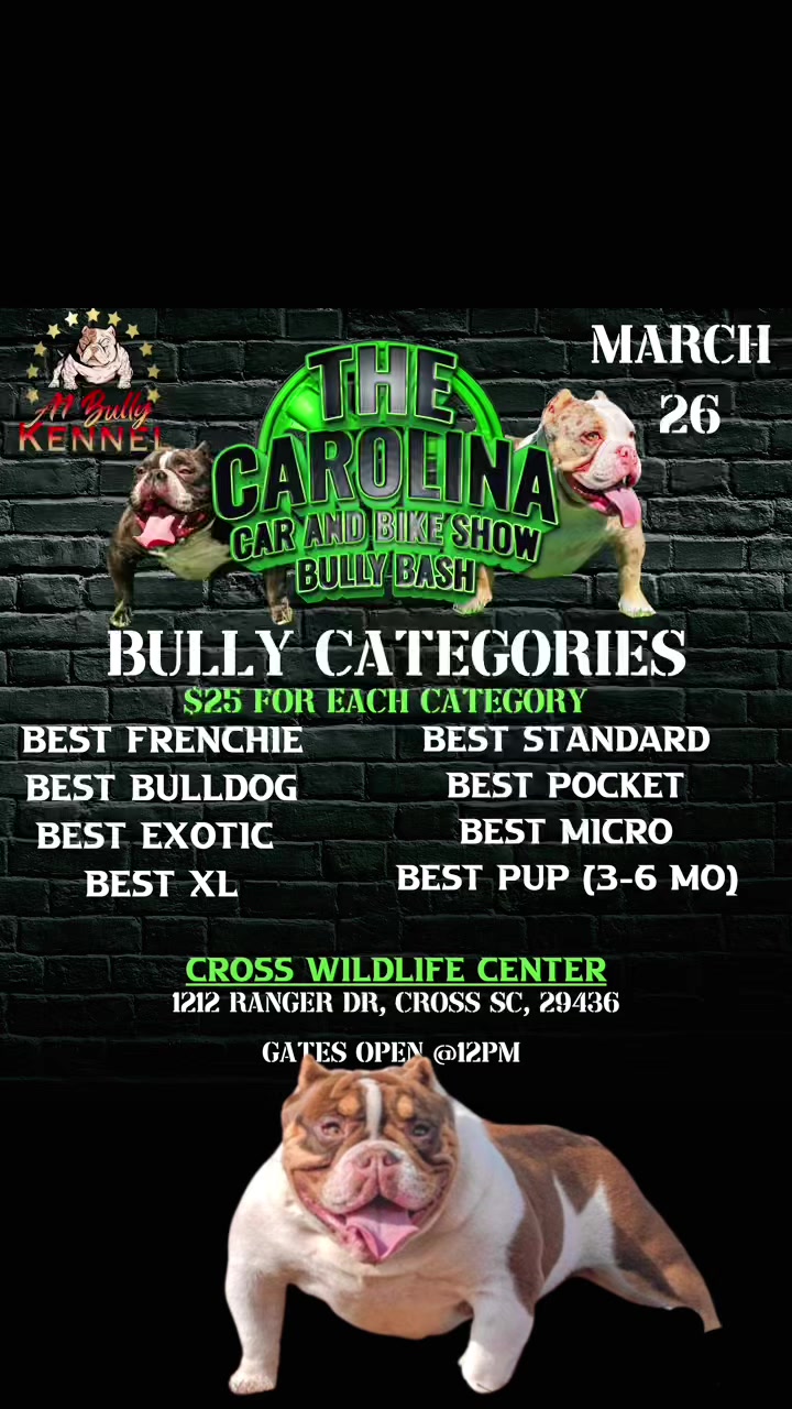 @a1bullykennel