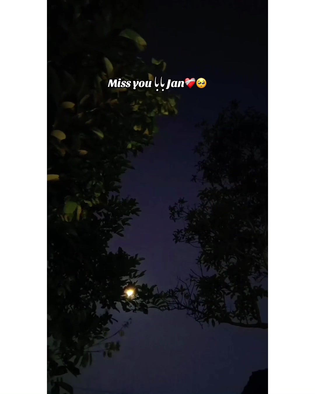 @⚜️𝐊𝐇𝐎𝐊𝐇𝐀𝐑❤️🩹