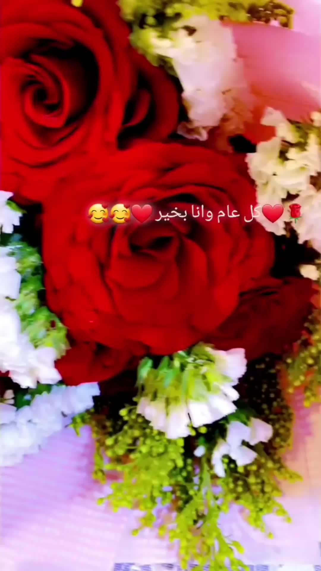 @✨️يا غــلا✨️