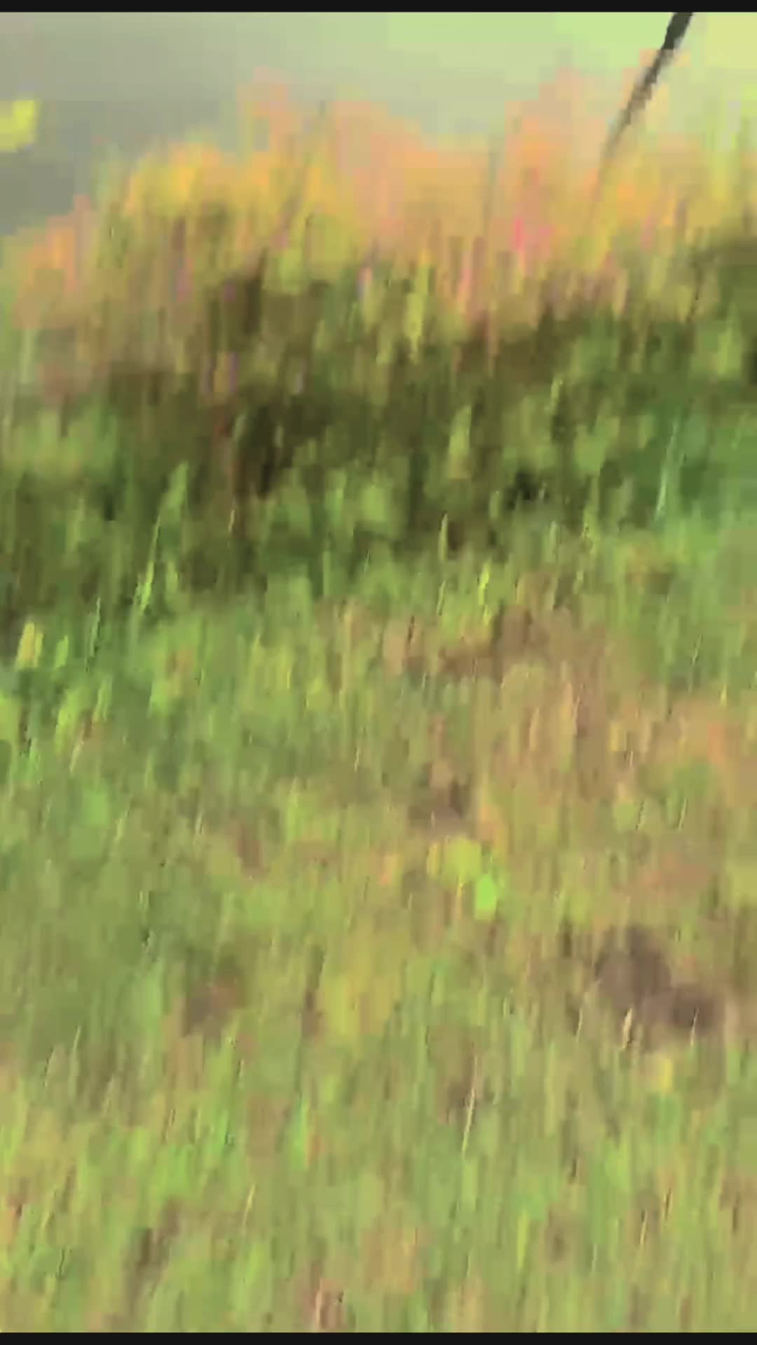 @mchlsmemet