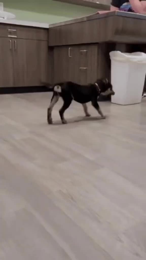 @𝐗𝐗