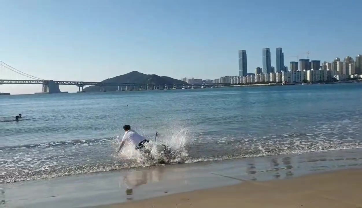@전국 안라 연맹