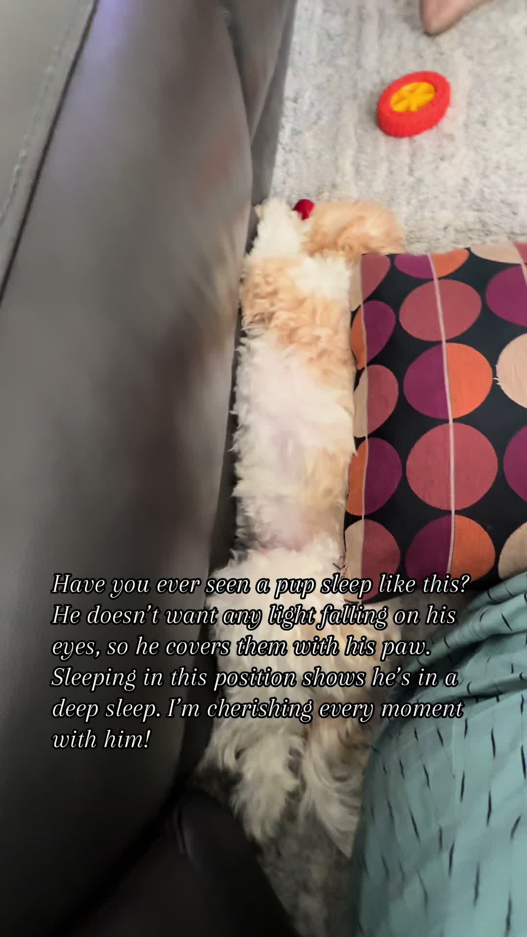@𝐻𝑎𝑟𝑖𝑘𝑎