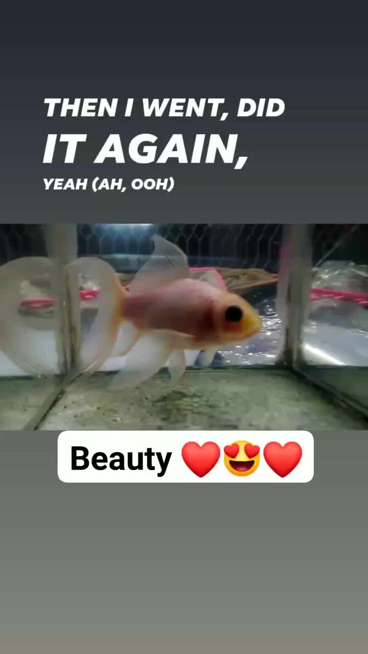 @๐ฅต?๐๐๐๐_๐๐®๐ฅต