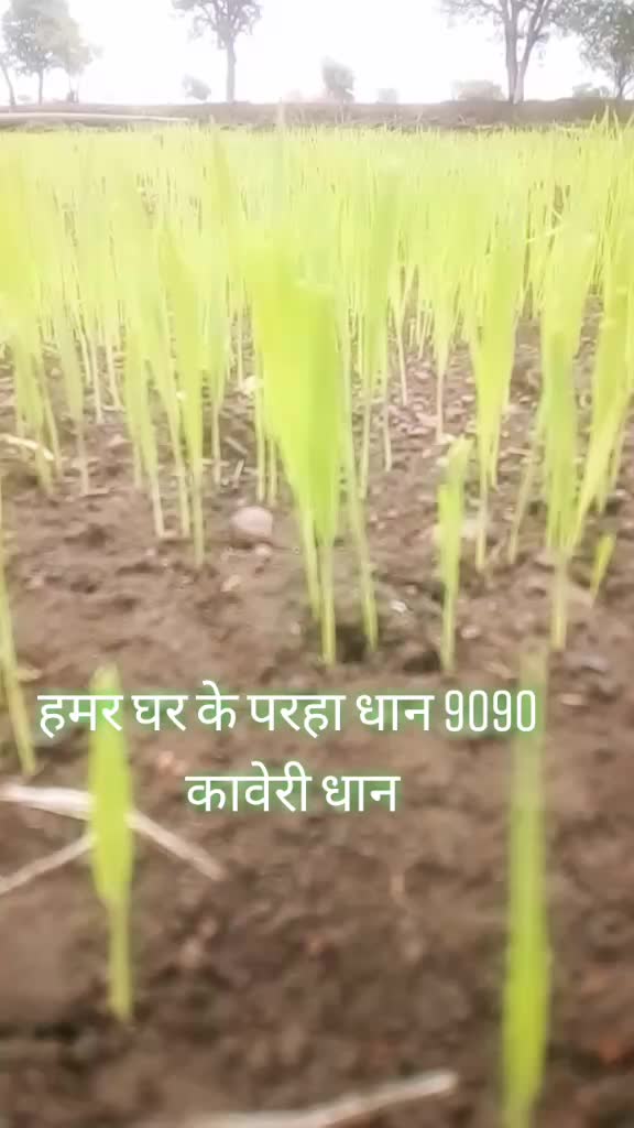 @बिल्कुल देहाती टुरा