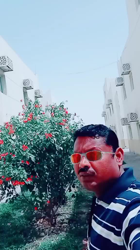 @Kasimkv Kasimkv