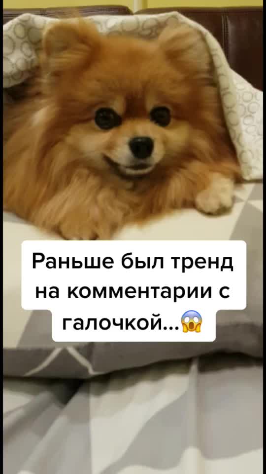 @busiya_cutie🐻♥️