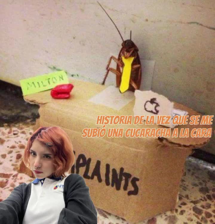 @✮🎸~(fan){poopsia}~🎸✮