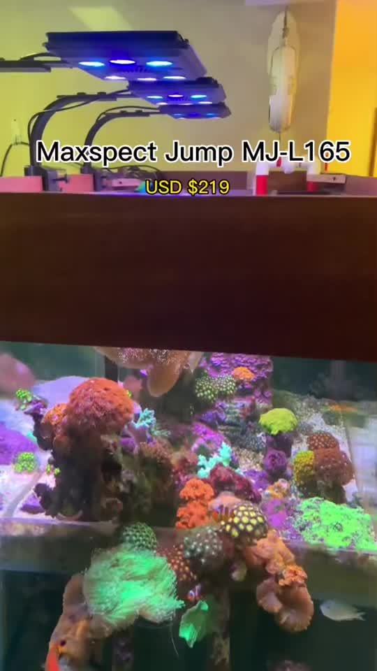 @Max