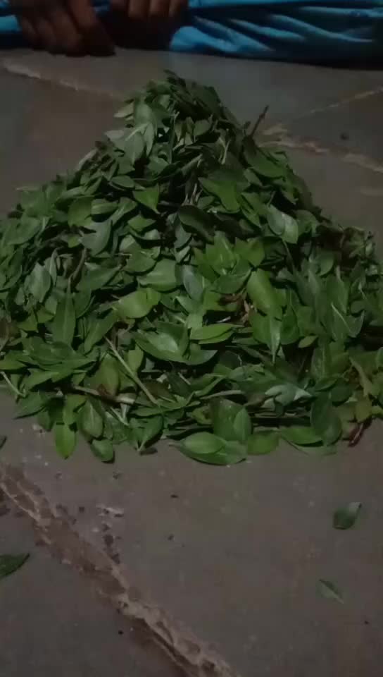@Manu 5757